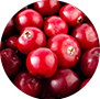 Cranberry Extract